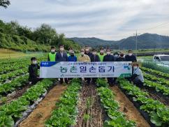 농촌일손돕기