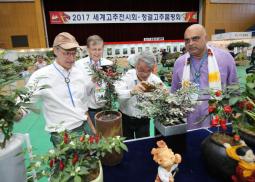 고추축제