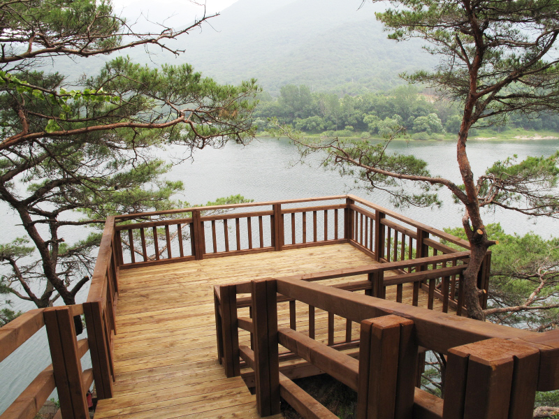 산막이 여름