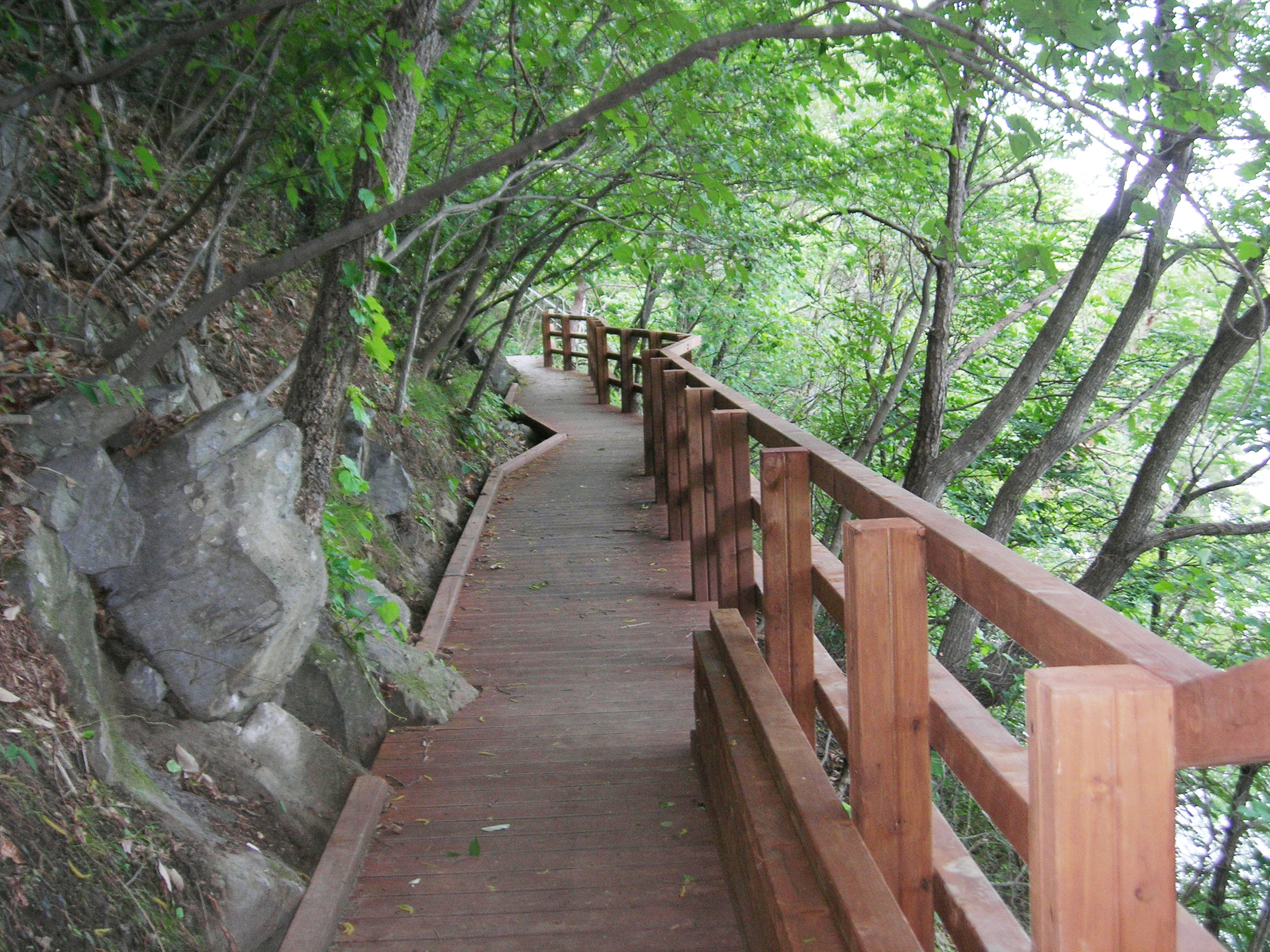 산막이 여름
