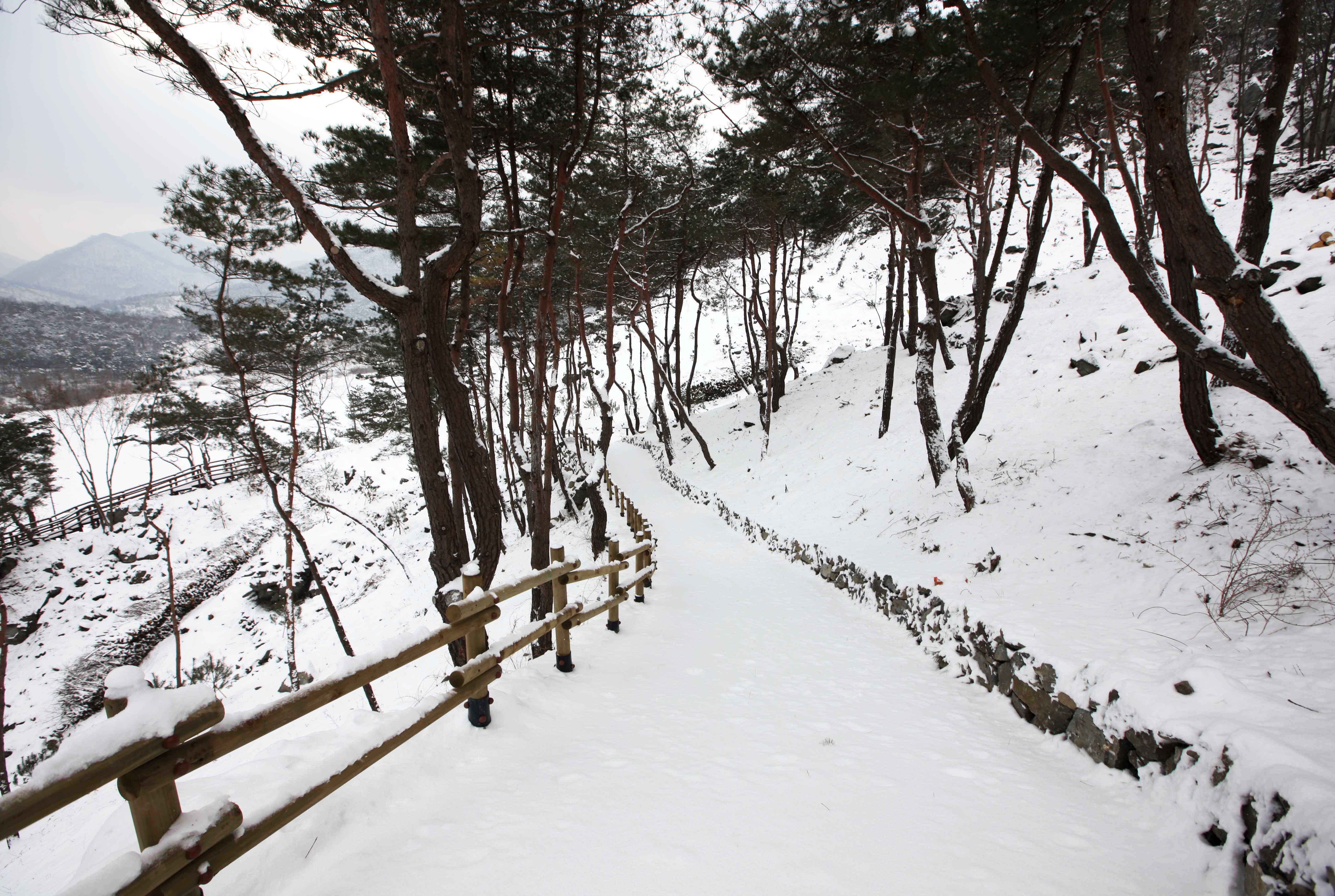산막이 설경