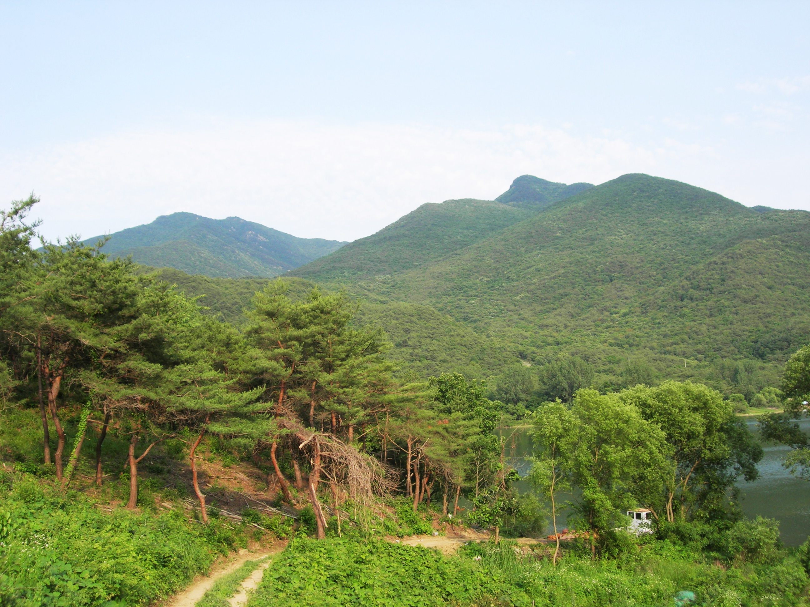 산막이 여름
