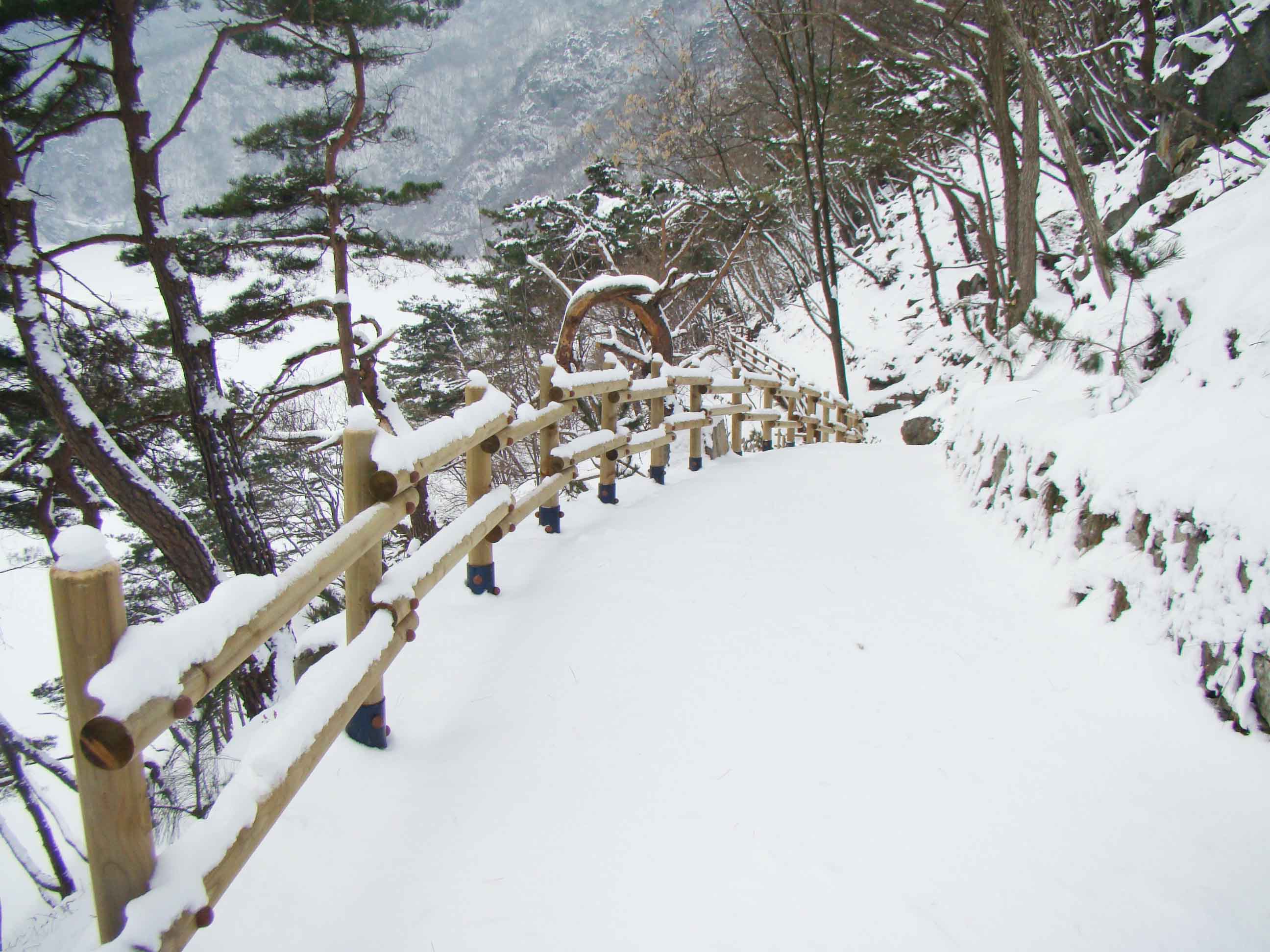 산막이 설경