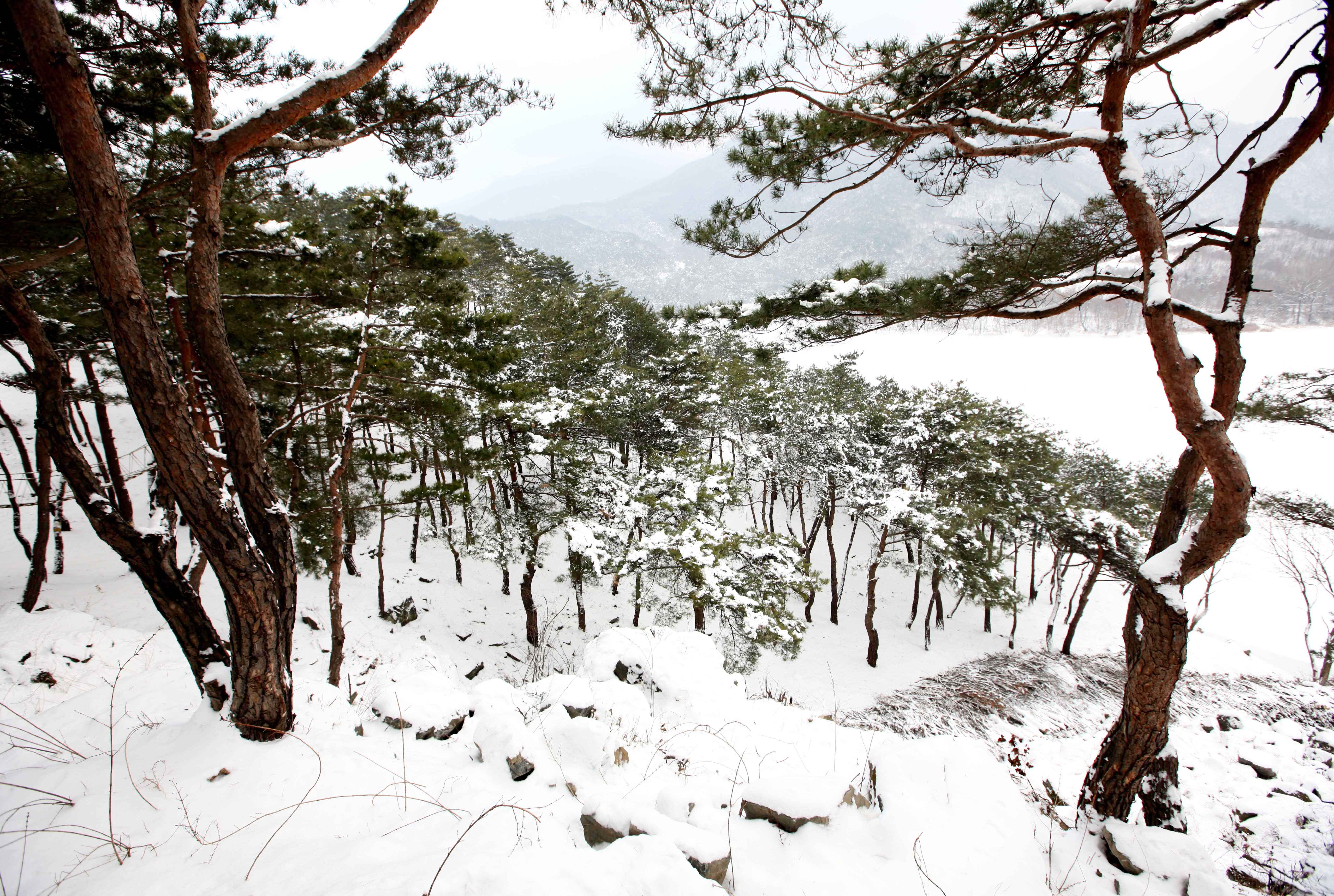 산막이 설경