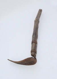 벽채