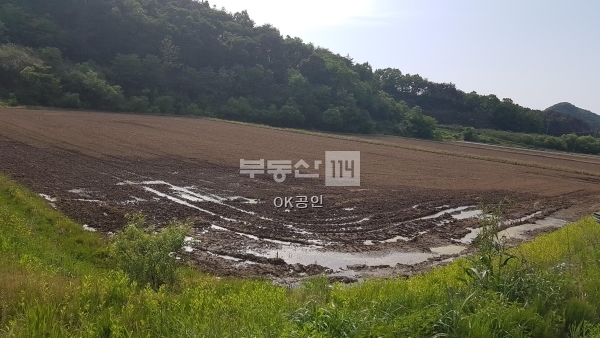 괴산210621.jpg