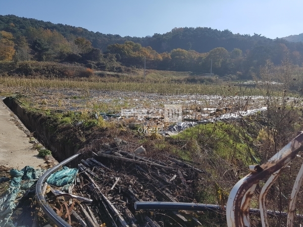 사리210805.jpg