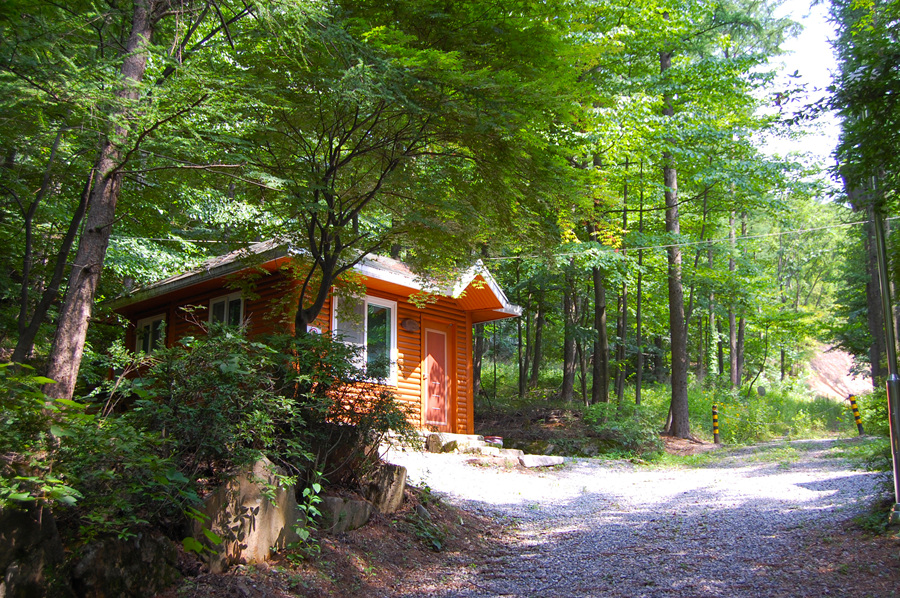 0706-01st_조령산자연휴양림14.jpg