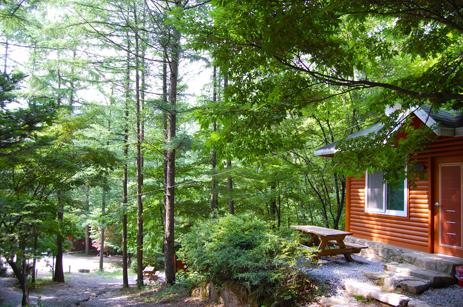 0706-01st_조령산자연휴양림15.jpg