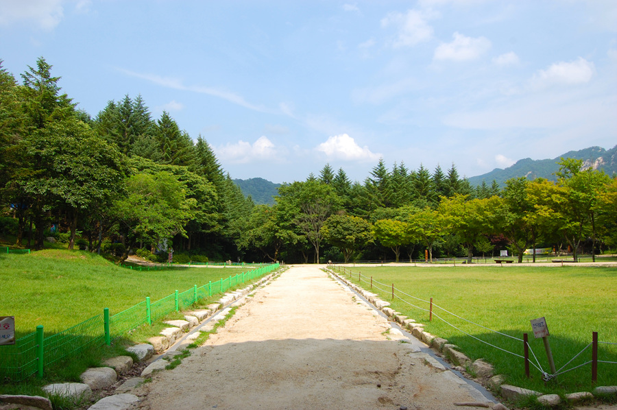 0706-01st_조령산자연휴양림24.jpg