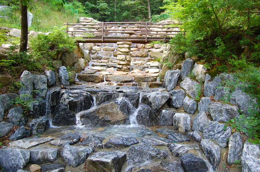 0706-01st_조령산자연휴양림33.jpg