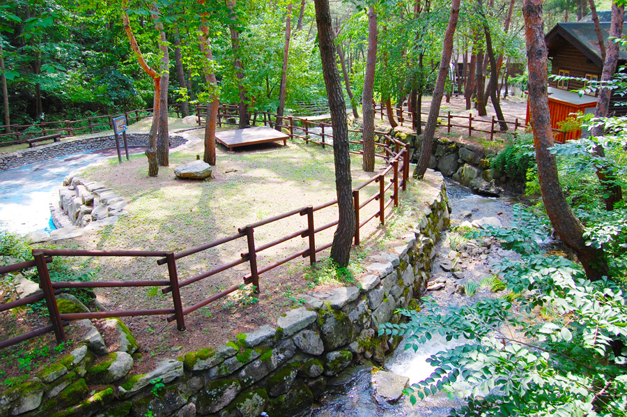 0706-01st_조령산자연휴양림08.jpg