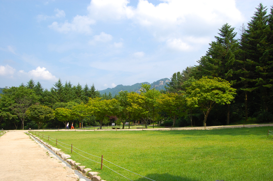 0706-01st_조령산자연휴양림22.jpg