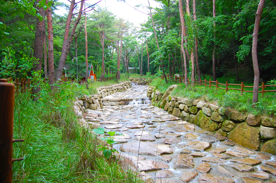 0706-01st_조령산자연휴양림37.jpg