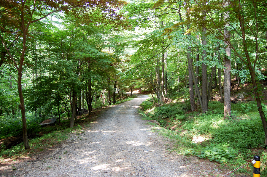 0706-01st_조령산자연휴양림17.jpg
