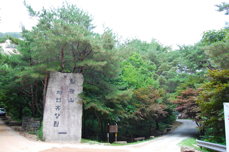 0706-01st_조령산자연휴양림49.jpg