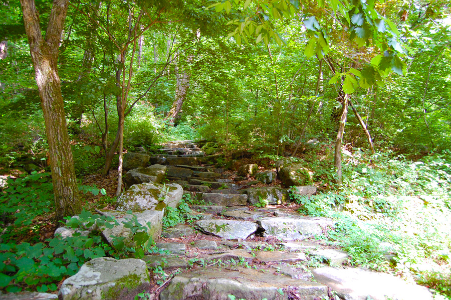 0706-01st_조령산자연휴양림28.jpg