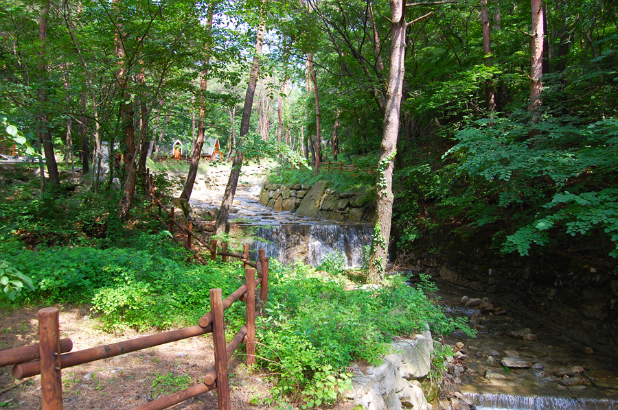 0706-01st_조령산자연휴양림09.jpg