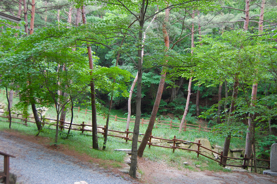 0706-01st_조령산자연휴양림38.jpg