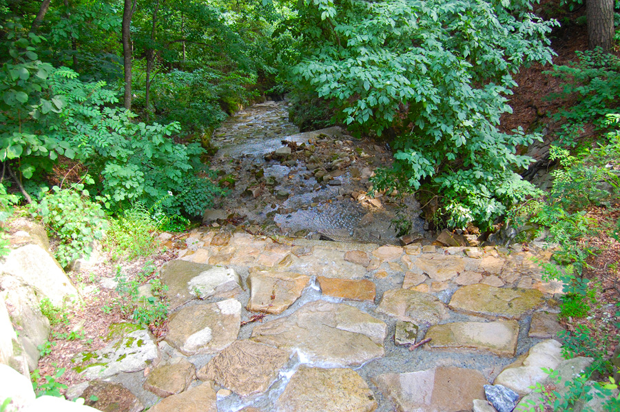 0706-01st_조령산자연휴양림35.jpg