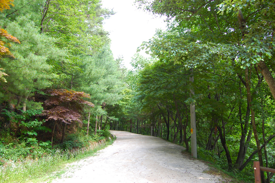 0706-01st_조령산자연휴양림34.jpg