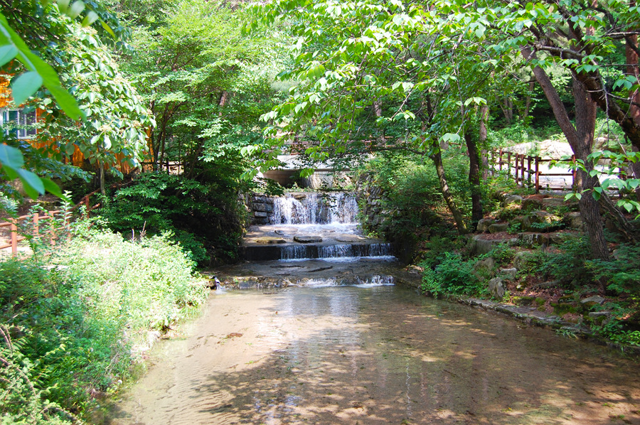 0706-01st_조령산자연휴양림07.jpg
