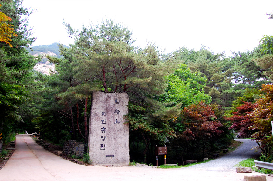 0706-01st_조령산자연휴양림41.jpg