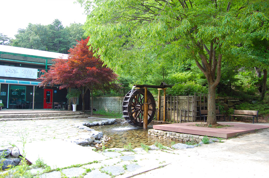 0706-01st_조령산자연휴양림31.jpg