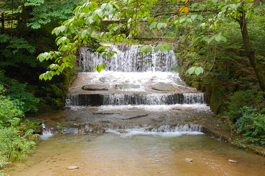 0706-01st_조령산자연휴양림43.jpg