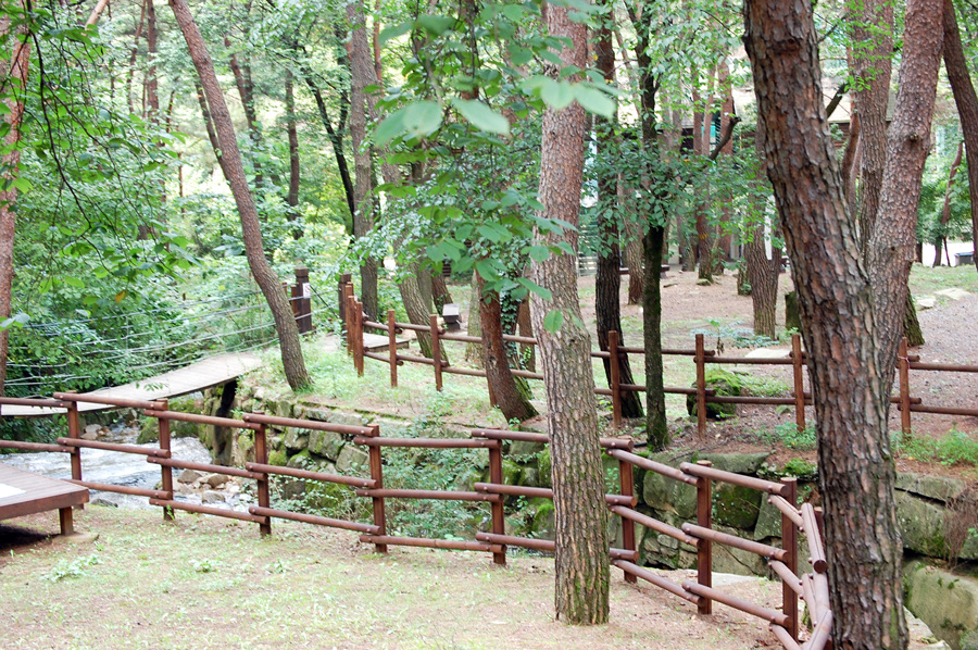 0706-01st_조령산자연휴양림45.jpg