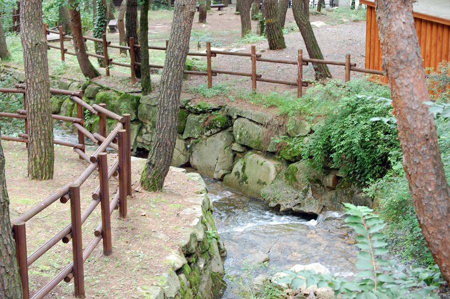 0706-01st_조령산자연휴양림44.jpg