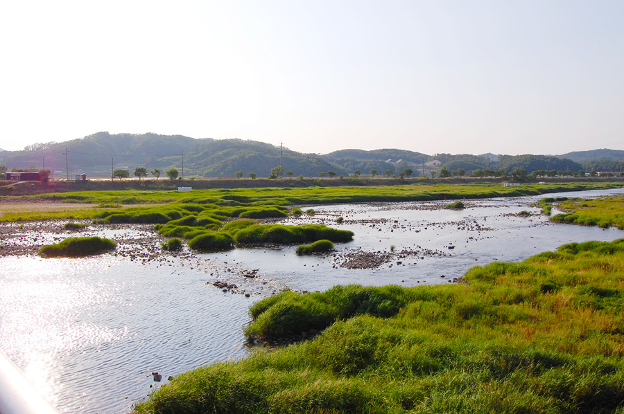 0609-08st_이탄유원지08.jpg