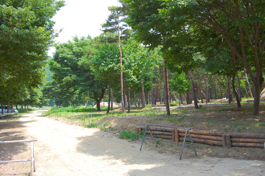 0622_휴평숲유원지05.jpg