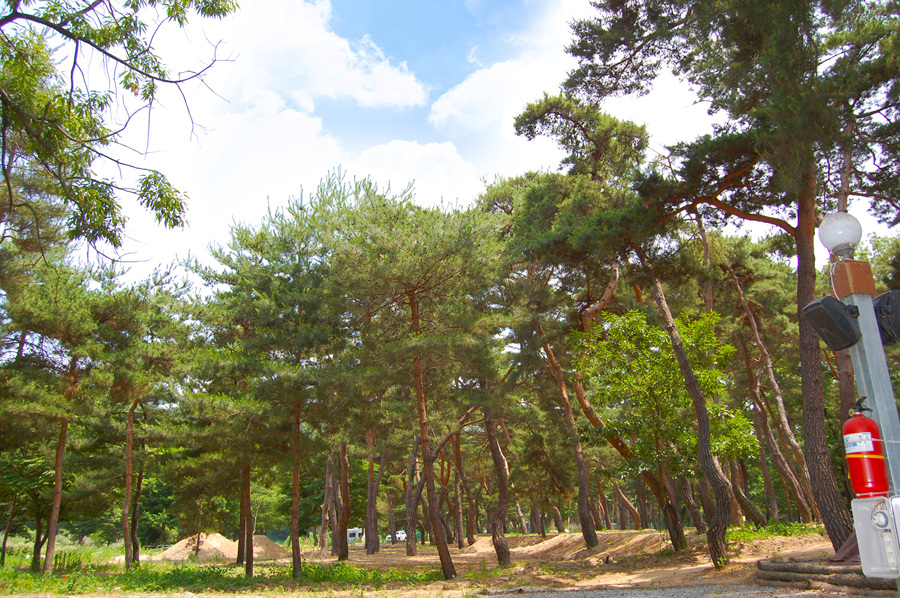0622_휴평숲유원지08.jpg