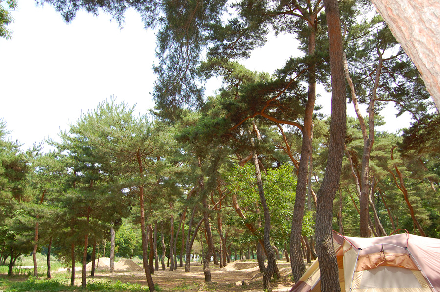 0622_휴평숲유원지07.jpg