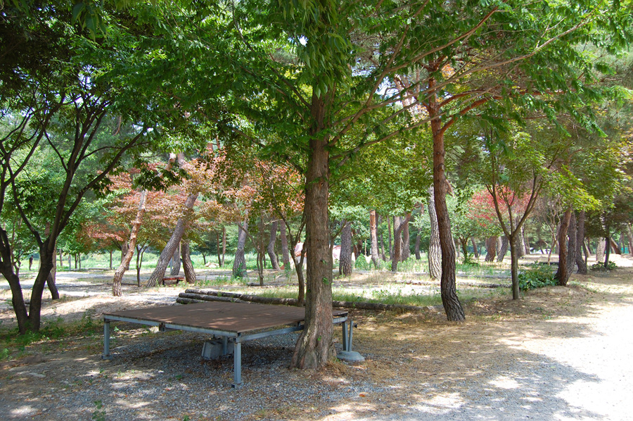 0622_휴평숲유원지04.jpg