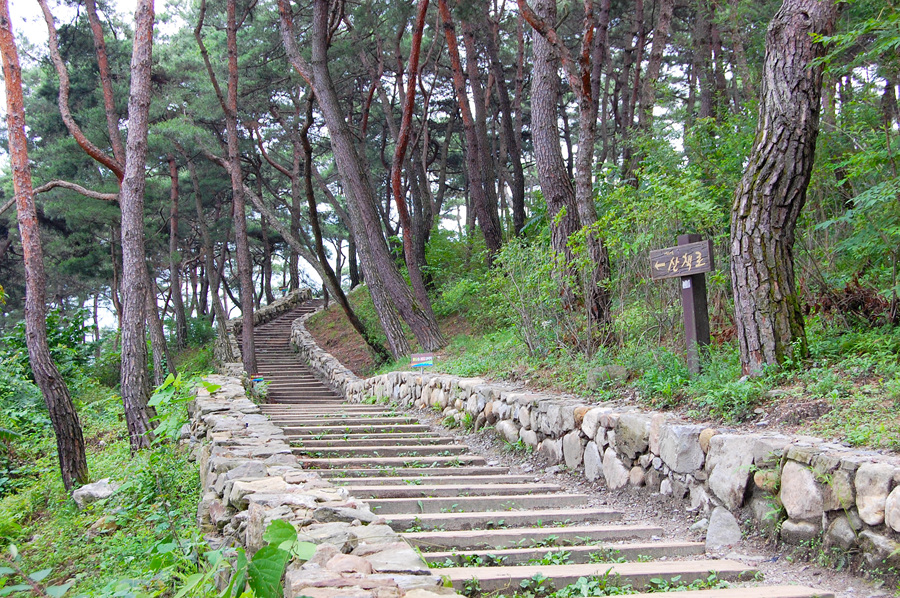 가족이랑 괴산여행_충주 괴산 애견동반펜션 | 애견동반밥집 | 애견동반카페 | 산막이 옛길 | 뭐하농하우스 | 별빛산막이펜션