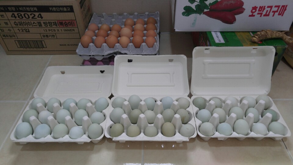 힐링팜 (10).jpg