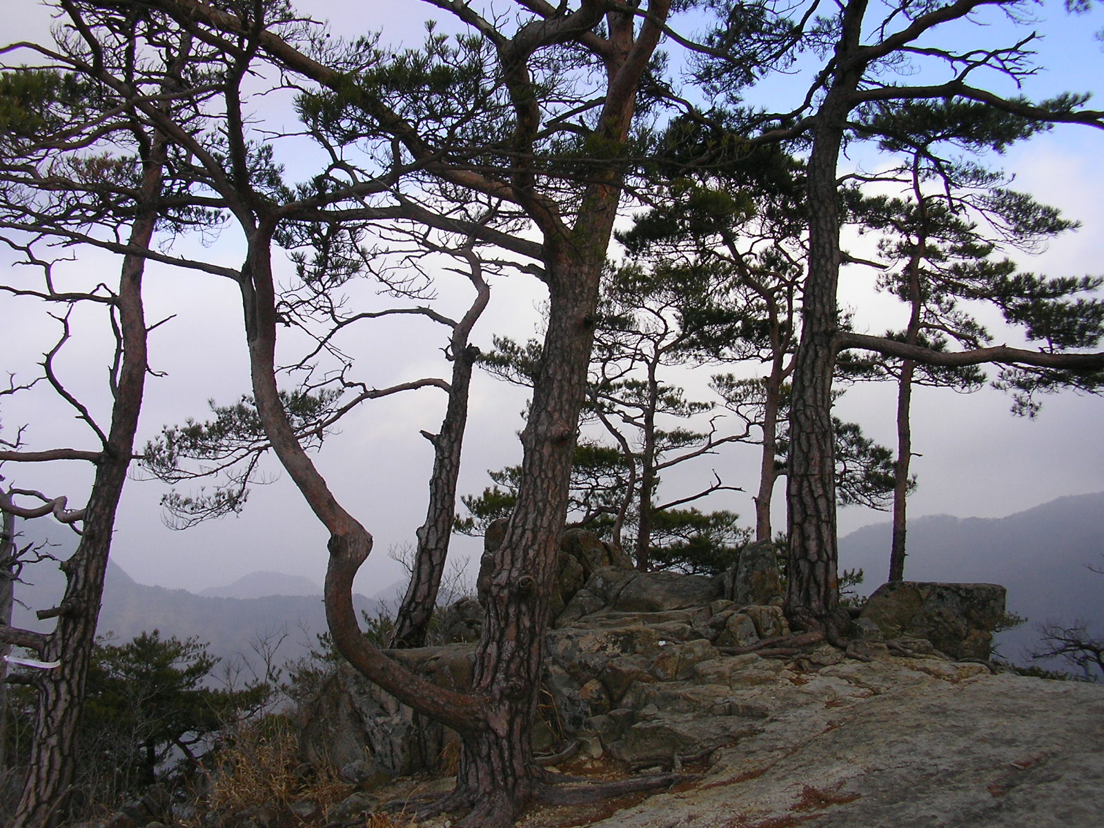 보배산 사진.JPG