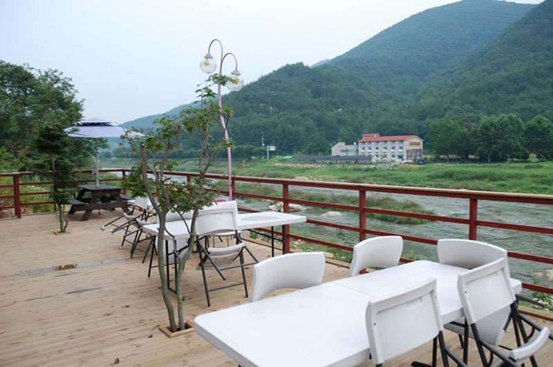 벚꽃