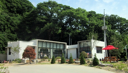 1141.jpg