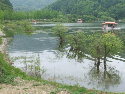 add_a09867df258b23a9c2c16fc1d8b8dd051.gif
