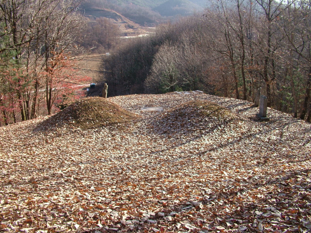 괴산 이연경 묘역(槐山 李延慶 墓域)