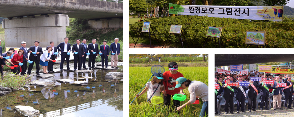 청천환경버섯축제 이미지