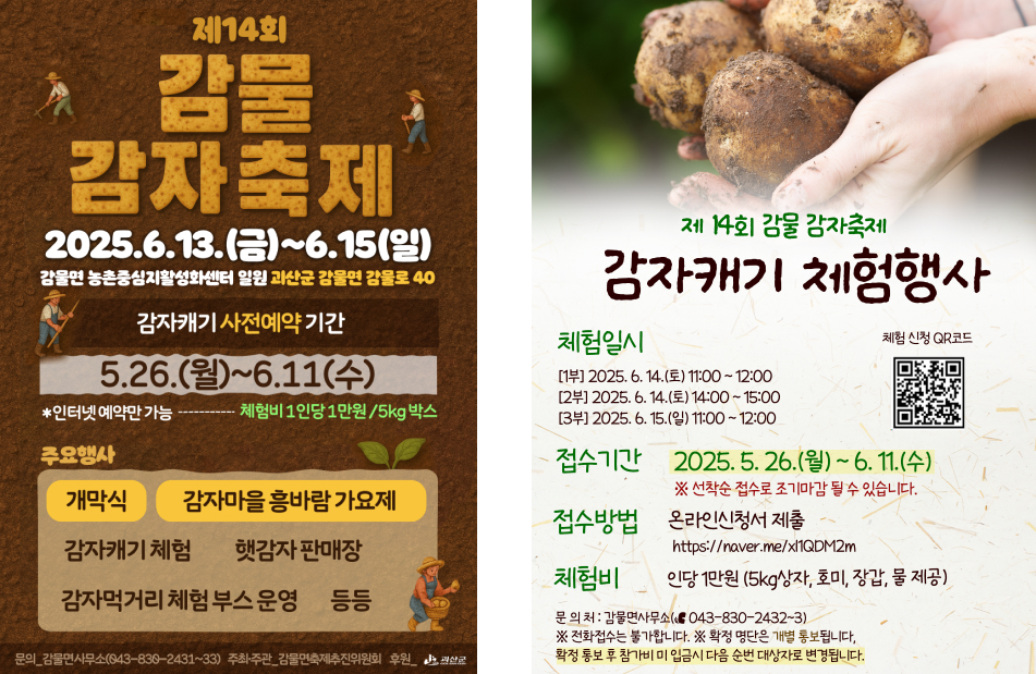 감물감자축제 이미지