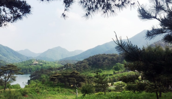 산막이옛길 배경사진